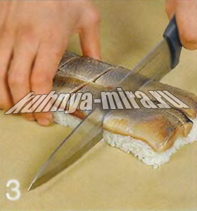 Прессованные суши