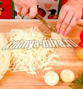 Салат из белокочанной капусты со сладким перцем и яблоками 2